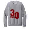 Unisex Sponge Fleece Raglan Sweatshirt Thumbnail