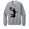 Unisex Sponge Fleece Raglan Sweatshirt Thumbnail