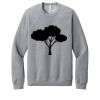 Unisex Sponge Fleece Raglan Sweatshirt Thumbnail