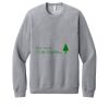 Unisex Sponge Fleece Raglan Sweatshirt Thumbnail