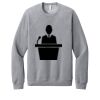 Unisex Sponge Fleece Raglan Sweatshirt Thumbnail