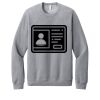 Unisex Sponge Fleece Raglan Sweatshirt Thumbnail