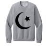 Unisex Sponge Fleece Raglan Sweatshirt Thumbnail