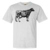 Heavyweight Ring Spun Tee Thumbnail