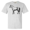 Heavyweight Ring Spun Tee Thumbnail