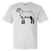 Heavyweight Ring Spun Tee Thumbnail