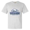 Heavyweight Ring Spun Tee Thumbnail
