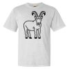 Heavyweight Ring Spun Tee Thumbnail